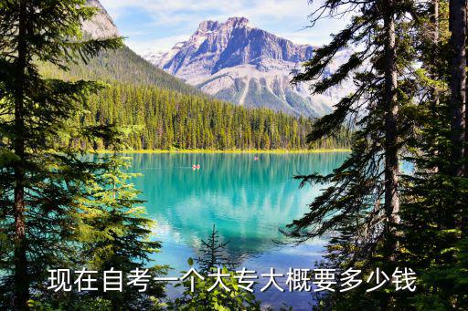 自学考试大专学费多少钱，现在自考一个大专大概要多少钱