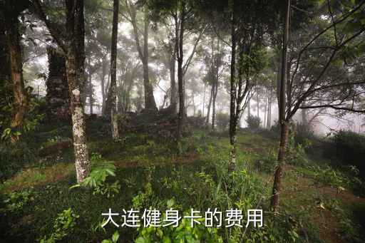 大连健身卡的费用