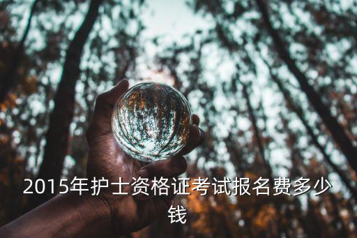 2015年护士资格证考试报名费多少钱