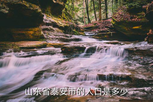 山东省泰安市的人口是多少