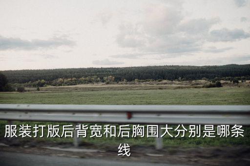 成品女装服装制版中基础线是多少，服装打版后背宽和后胸围大分别是哪条线