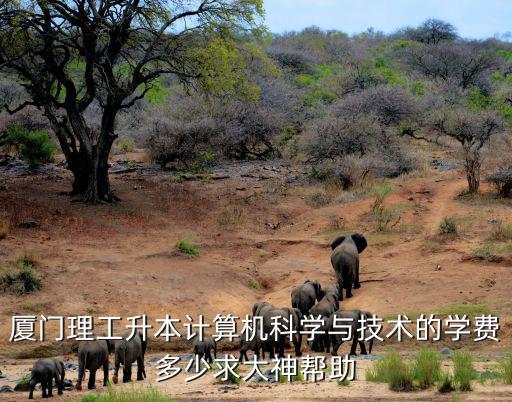 厦门理工升本计算机科学与技术的学费多少求大神帮助