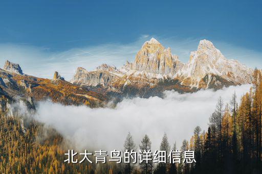 北大青鸟机构代码是多少，C 北大青鸟要打多少代码S1