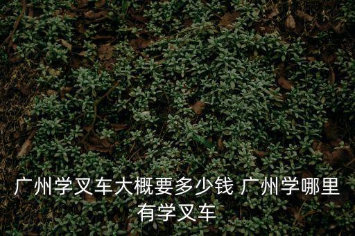 广州学开叉车要多少钱，在广州学开叉车要多少钱