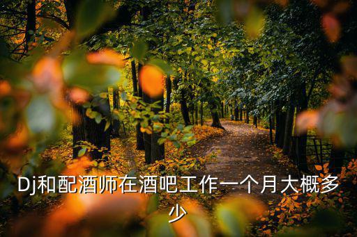 Dj和配酒师在酒吧工作一个月大概多少
