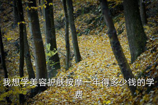 我想学美容护肤按摩一年得多少钱的学费