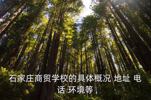 石家庄商贸学校的具体概况 地址 电话 环境等