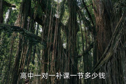 章丘高中辅导班多少钱，高中一对一补课一节多少钱