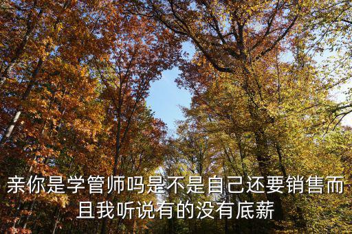 亲你是学管师吗是不是自己还要销售而且我听说有的没有底薪
