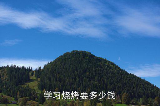 学习烧烤要多少钱