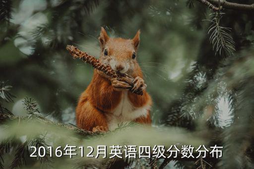 2016四级总分是多少，2016年四级满分多少听力阅读作文翻译各多少