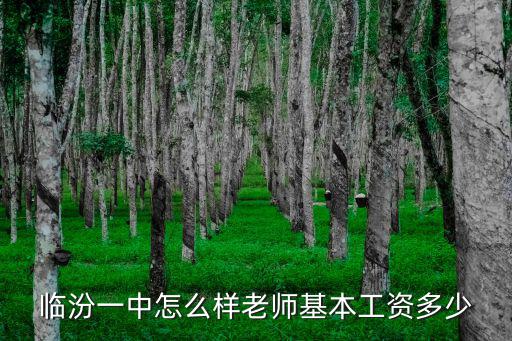临汾中教一级教师一月多少钱，中学一级教师的工资是多少