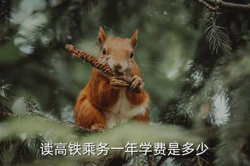 合肥高铁乘务学费多少，高铁乘务员一年学费多少元住宿费多少钱