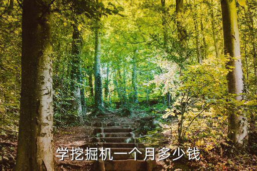 学挖掘机一个月多少钱