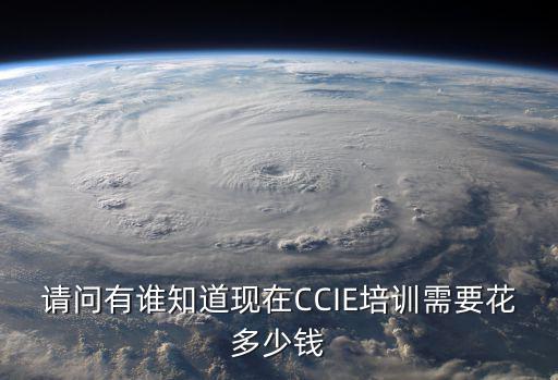 请问有谁知道现在CCIE培训需要花多少钱