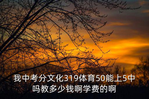 我中考分文化319体育50能上5中吗教多少钱啊学费的啊