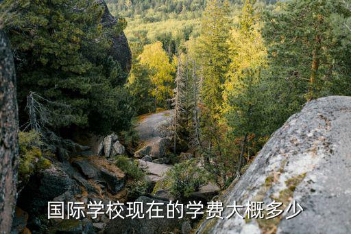 启蒙国际学堂学费多少，这个学校 学费大约多少