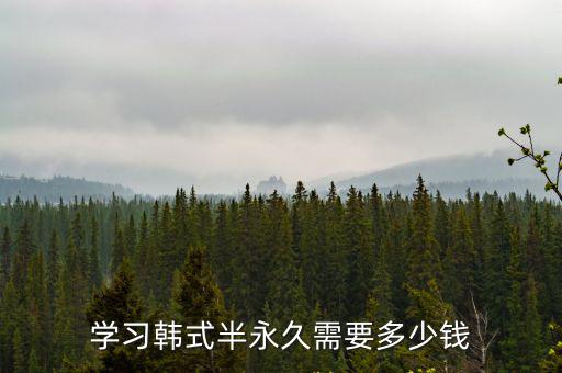 学习韩式半永久需要多少钱