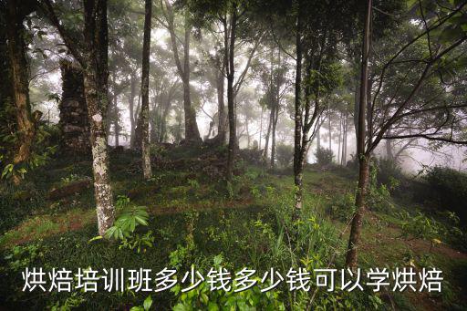 烘焙培训班多少钱多少钱可以学烘焙
