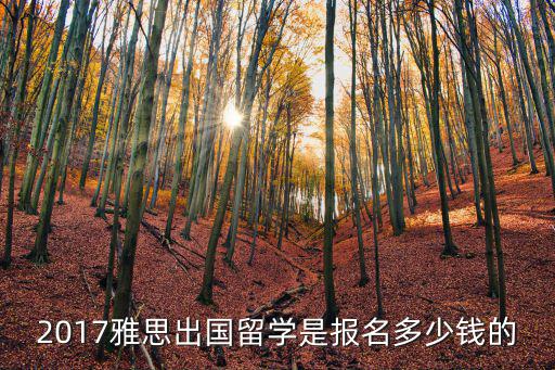 2017雅思报名费是多少，2017雅思出国留学是报名多少钱的