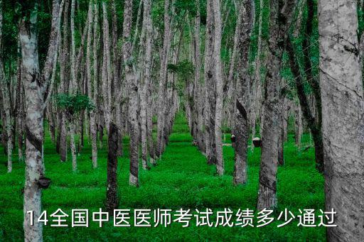 全国中医医师分数多少通过14年，14全国中医医师考试成绩多少通过