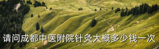 请问成都中医附院针灸大概多少钱一次