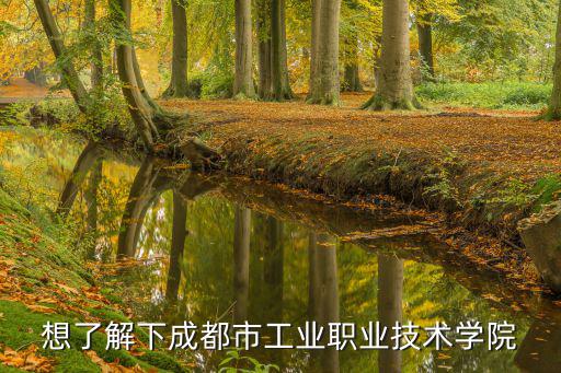 想了解下成都市工业职业技术学院