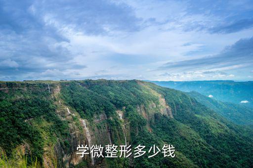 学微整形多少钱