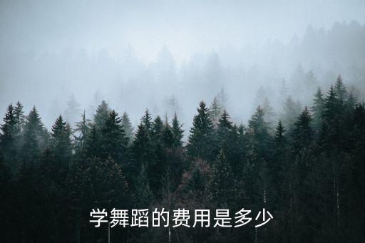 学舞蹈的费用是多少