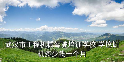 武汉市工程机械驾驶培训学校 学挖掘机多少钱一个月