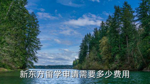 新东方留学申请需要多少费用