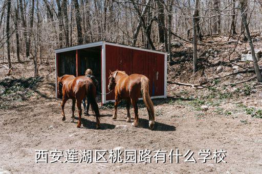 莲湖区有多少学校，西安莲湖区桃园路有什么学校
