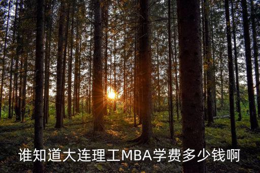 大连理工和东财的mba学费都多少，谁知道大连理工和东财的mba 的学费是多少