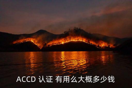 ACCD 认证 有用么大概多少钱