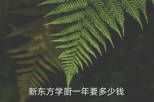 新东方学厨一年要多少钱