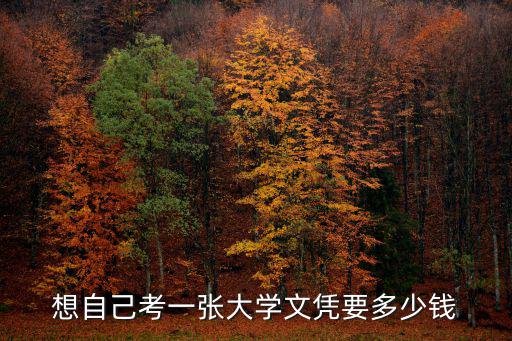 想自己考一张大学文凭要多少钱