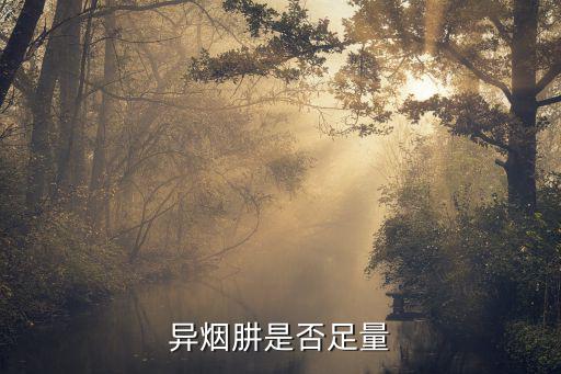异烟肼是否足量