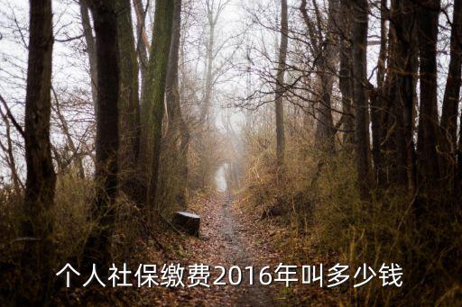 个人社保缴费2016年叫多少钱