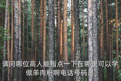 请问哪位高人能指点一下在哪里可以学做羊肉粉啊电话号码是