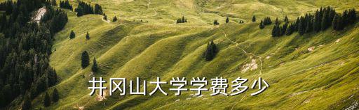 井冈山大学学费多少