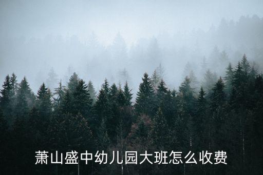 萧山盛中幼儿园大班怎么收费