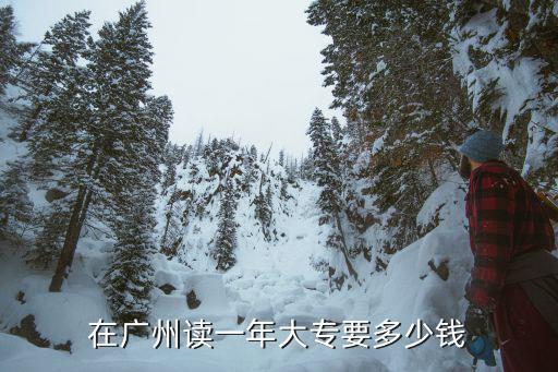 在广州读一年大专要多少钱