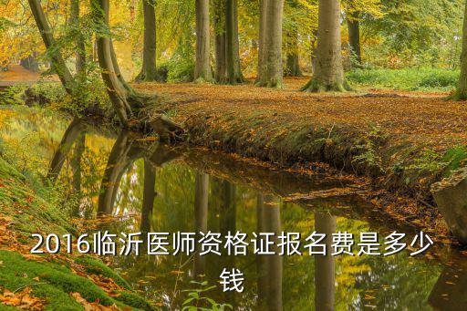 2016临沂医师资格证报名费是多少钱