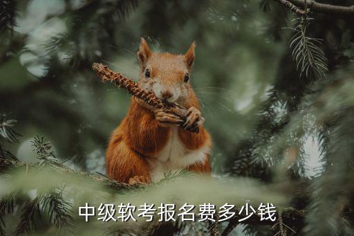 中级软考报名费多少钱