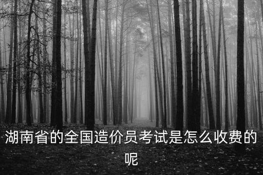 注册造价师湖南有多少钱，注册造价工程师什么价格