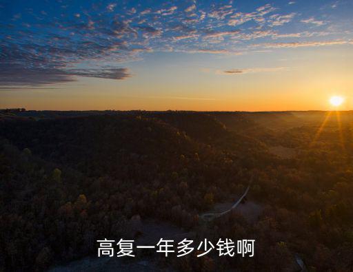 高复一年多少钱啊