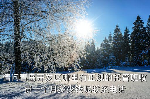 请问青岛开发区哪里有正规的托管班收费一个月多少钱呢联系电话