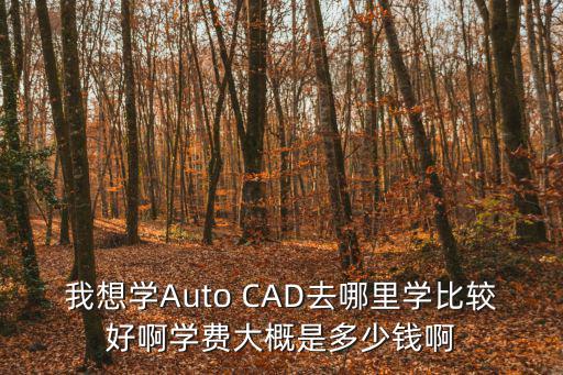 我想学Auto CAD去哪里学比较好啊学费大概是多少钱啊
