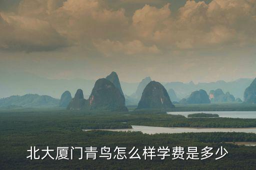 北大厦门青鸟怎么样学费是多少