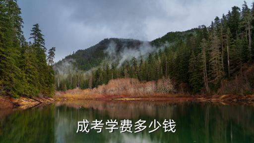 请问成教学费多少钱一年，成考学费多少钱